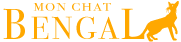 Élevage chat Bengal | Chaton de race disponible | 45min de Lille