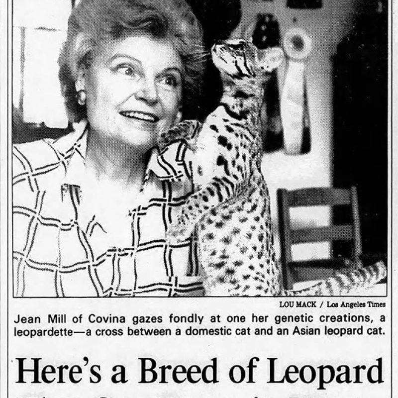 Jean Mill Leopardettes 1987